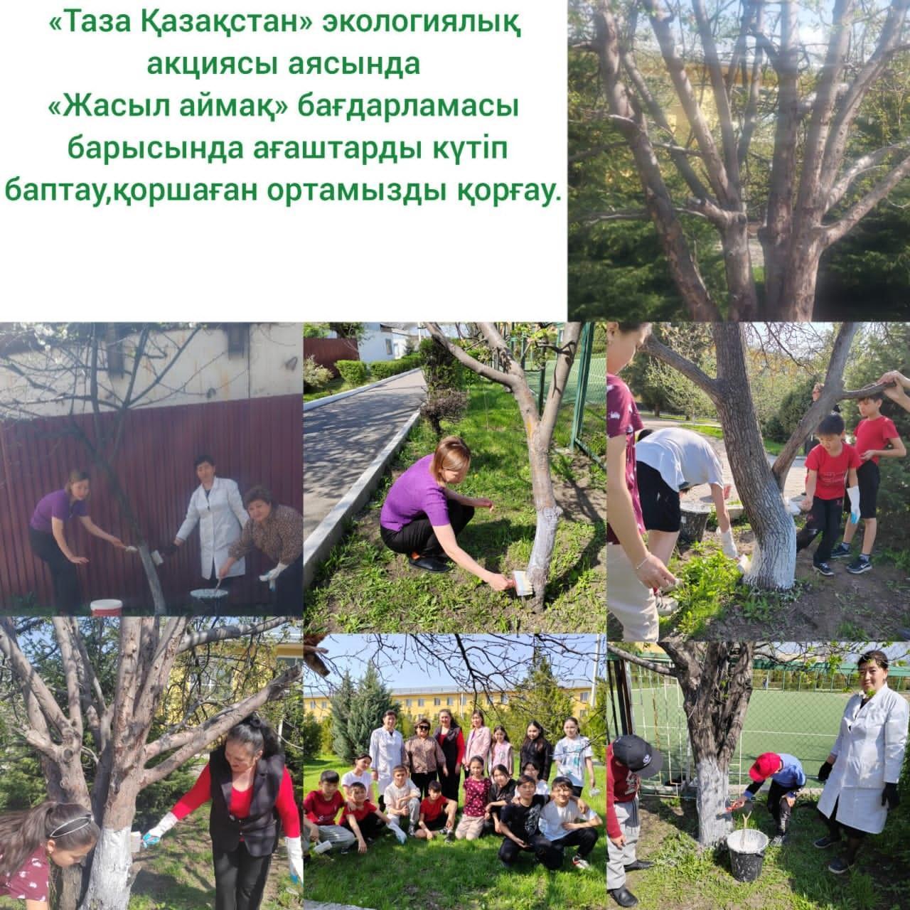 "Таза Қазақстан" экологиялық  акция
